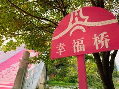 -田野绿世界