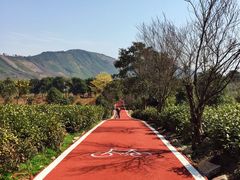 -帐篷客·溪龙茶谷度假酒店