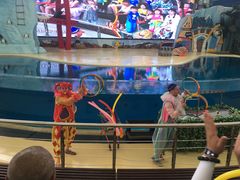 -三亚海昌梦幻海洋不夜城