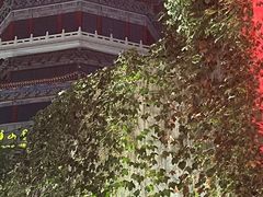 -和平电影院