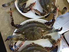-美食宴海鲜自助