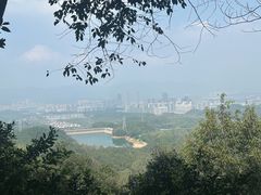 -莫干山风景区