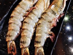 -熊出没日本烧肉放题