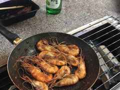 -吴淞炮台湾湿地森林公园烧烤区