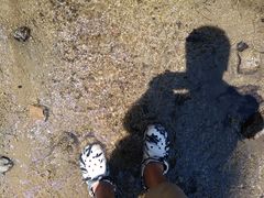 -白水寺森林公园