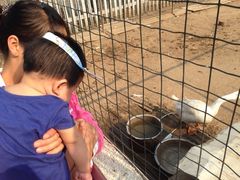 iphone_upload_pic-意大利农场度假村