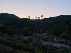 -龙井村