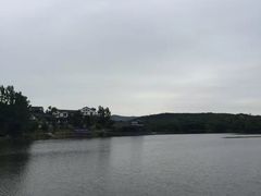 -大塘金香草谷