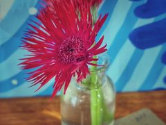 -Mesa Madre梅萨妈妈·Bintana(国贸店)