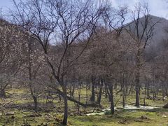 -大水川景区