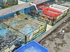 -考记泥焗鸡农庄·海鲜(北洛秘境店)