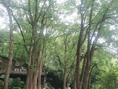 -忠山公园