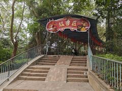 -广东茂名森林公园