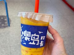 -南澳岛打卡果汁冰公司