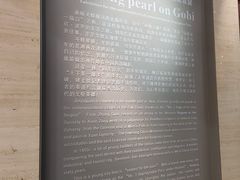 -嘉峪关城市博物馆