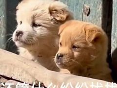 -霸王茶姬(正佳广场店)