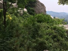 -抱犊崮国家森林公园
