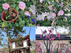 -惠山古镇·寄畅园