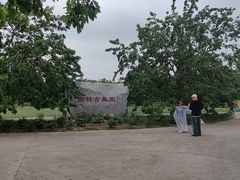 -御林古桑园