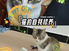 -金砂公园