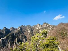 -王顺山国家森林公园