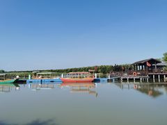 -大湾区中央湿地公园