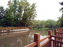 -桤木河湿地公园