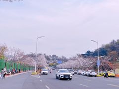 -幕燕滨江·燕子矶公园