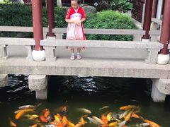 -檀园
