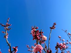 -鹫峰国家森林公园