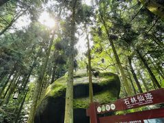 -大围山国家森林公园