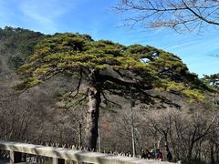 -黄山风景区