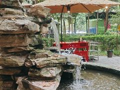 -二荆条·蜀鲜汇城市森林火锅