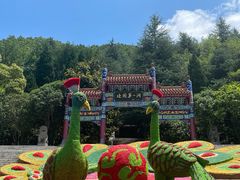 -鸡冠洞风景区