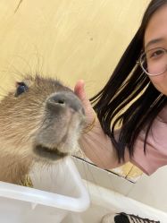 -Moni星球萌宠·小马宝莉·灵蛇·高端高阶全萌宠互动体验俱乐部(红豆国际广场店)