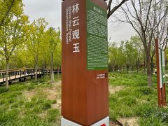 -东郊湿地公园