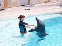 -新加坡水上探险乐园
