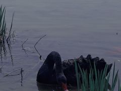 -河北省园博园