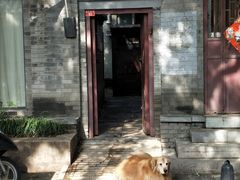 -北京国子监胡同