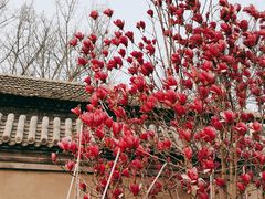 -三里河公园