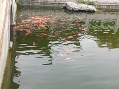 -梅园