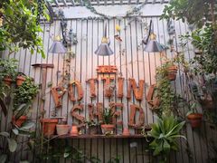 -The Grounds of Alexandria