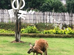 -泉州海丝野生动物世界