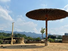 -杭州野生动物世界