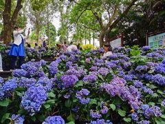 -广西壮族自治区药用植物园
