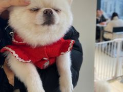 -怪兽屋·羊驼·猫咖·狗咖(俊华广场店)