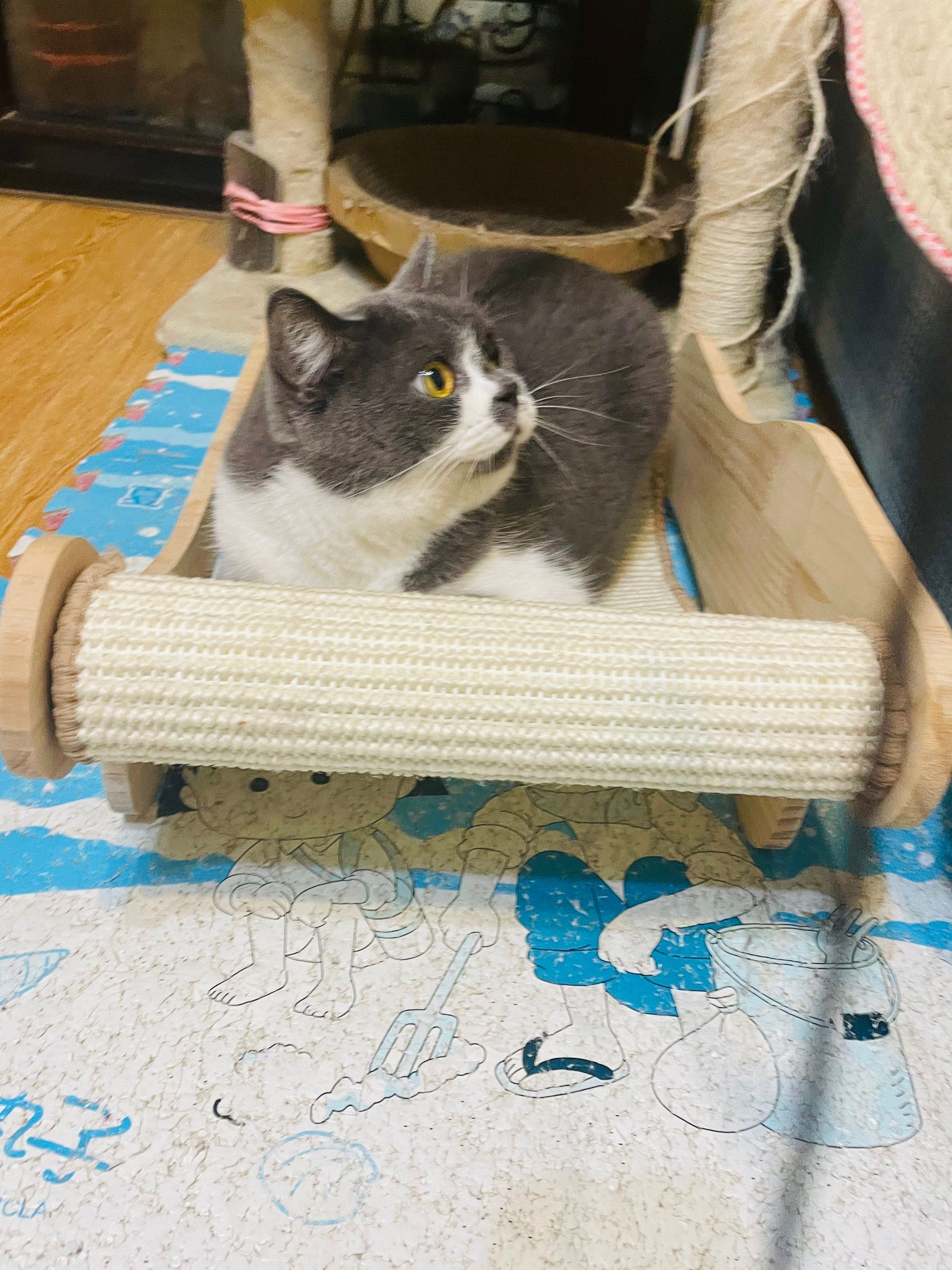 老母亲很欣慰,每天节衣缩食,就为了他们过得开心