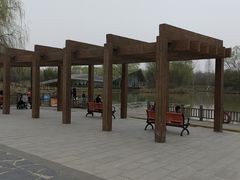 -西安浐灞国家湿地公园