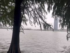 -高子水居