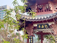 -四海公园(南山区)